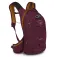 Osprey Гидратационный рюкзак Raven 10L