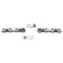 Campagnolo Cadena Super Record C-Link