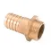 Prosea Conector recto Latón M 1´´
