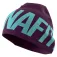Dynafit Gorro Light Logo