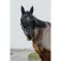Equitheme Mask 굴레