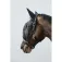 Equitheme Mask 굴레