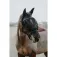 Equitheme Mask 굴레