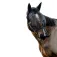 Equitheme Mask Anti UV Grime