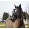 Equitheme Mask Anti UV Halfter