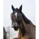 Equitheme Mask Anti UV Grime