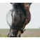 Equitheme Capezza Mask Anti UV
