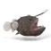 Collecta Monkfish XL Figure