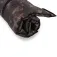 Fox international Berço Sides