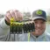 Matrix fishing Plom split shot Cube