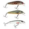 Salmo Sinking minnow 4g 60 mm