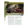 Devir Pathfinder 2Ed: Piedlaga-brettspillet Fall