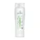 Artero Bye Bye 250ml shampoo