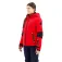 Icepeak Ecorse softshelljack