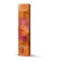 Lakme Gloss 60ml Farba permanentna