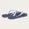 Oakley Catalina flip flops