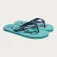Oakley College flip-flops