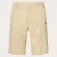 Oakley Perf Terrain Grid shorts