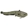 Hotspot design Adhesiu Catfish