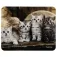 Hama Animals mouse pad