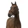Equitheme Chevron Nylon halter