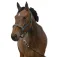 Equitheme Chevron Nylon halter