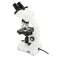 Celestron Microscopio Labs CB2000CF Binocoli compositi