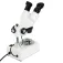 Celestron Microscope Labs S10-60 Stereo