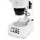 Celestron Microscope Labs S10-60 Stereo