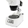 Celestron Microscope Labs S10-60 Stereo