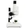 Celestron Labs S20 Stereo microscope