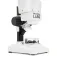 Celestron Microscopio Labs S20 Stereo