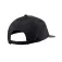 Revit Olso Lippis