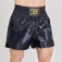 Leone1947 Basic 2 Thaibox Trunks