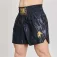Leone1947 Basic 2 Thaiboxningsshorts