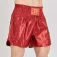 Leone1947 Basic 2 Thaibox-Shorts