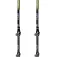 Masters Eiger poles