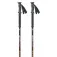 Masters Bastons Skitour