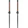 Masters Bâtons Skitour