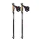 Masters Training Speed poles