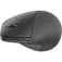 HP Mouse ergonomico wireless 925