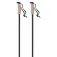 Atomic AMT Carbon poles