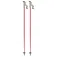 Atomic AMT Carbon poles