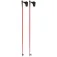 Atomic Redster Junior poles