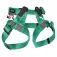 Fixe Climbing Gear Espeleo harness