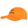Treeland Logo cap