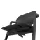Cybex Trona Lemo2 4 In 1