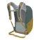 Osprey Quasar backpack