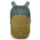 Osprey Quasar backpack