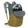 Osprey Quasar backpack